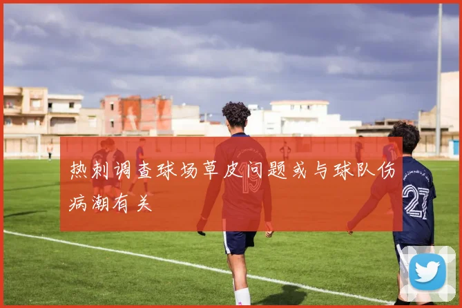 热刺调查球场草皮问题或与球队伤病潮有关